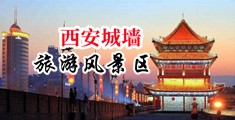 美女挤奶骚气又粗又长中国陕西-西安城墙旅游风景区